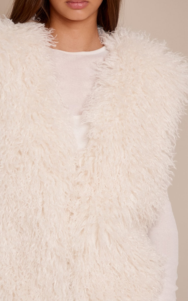 https://cdn-img.prettylittlething.com/4/7/0/7/47079da6fb066b4e42561b65f9c281a70e612eff_CNO0270_4_cream_mongolian_faux_fur_gilet.jpg