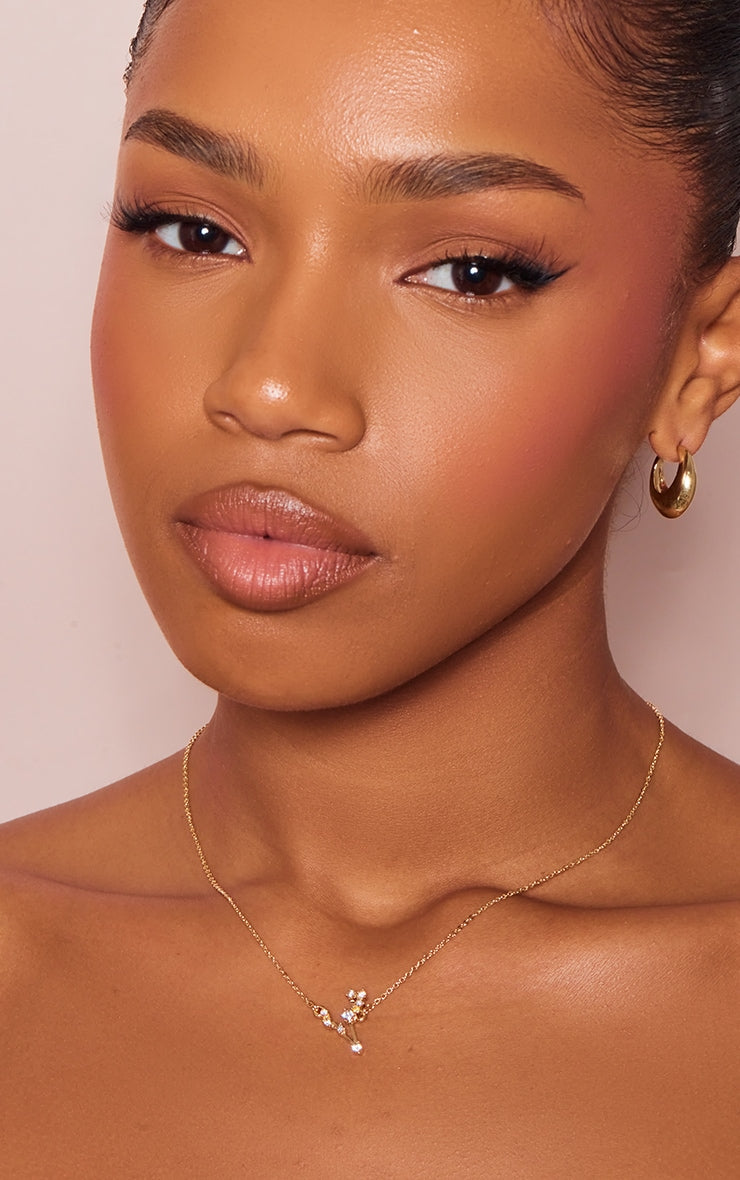 Gold Plated Pisces Celestial Necklace - HCWP 